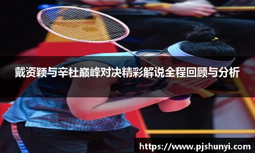 戴资颖与辛杜巅峰对决精彩解说全程回顾与分析